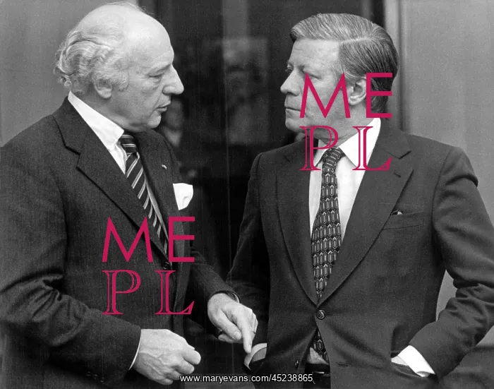 : Helmut Schmidt and Walter Scheel : Helmut Schmidt and Walter Scheel