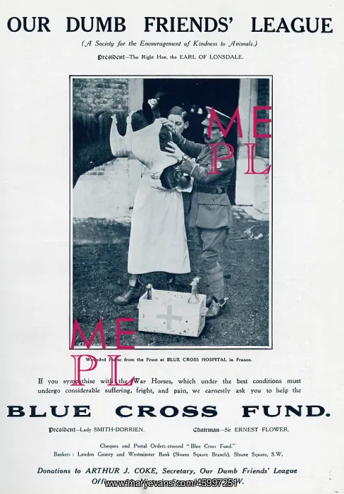 : Help the Blue Cross fund 1916 : Help the Blue Cross fund 1916