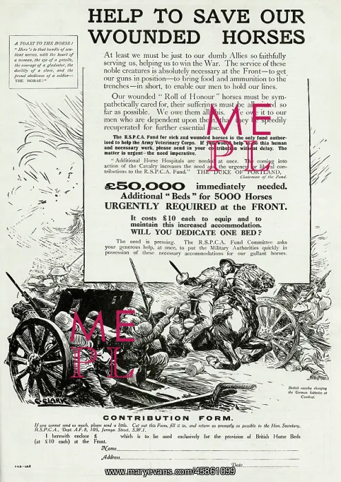 : Help to save our wounded horses 1917 : Help to save our wounded horses 1917