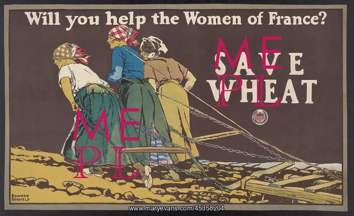 : WILL YOU HELP THE WOMEN OF FRANCE? / SAVE WHEAT : WILL YOU HELP THE WOMEN OF FRANCE? / SAVE WHEAT