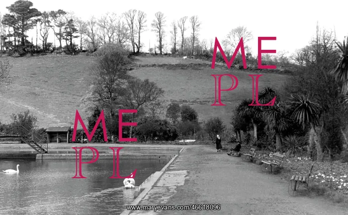  : Helston, the Park c1955