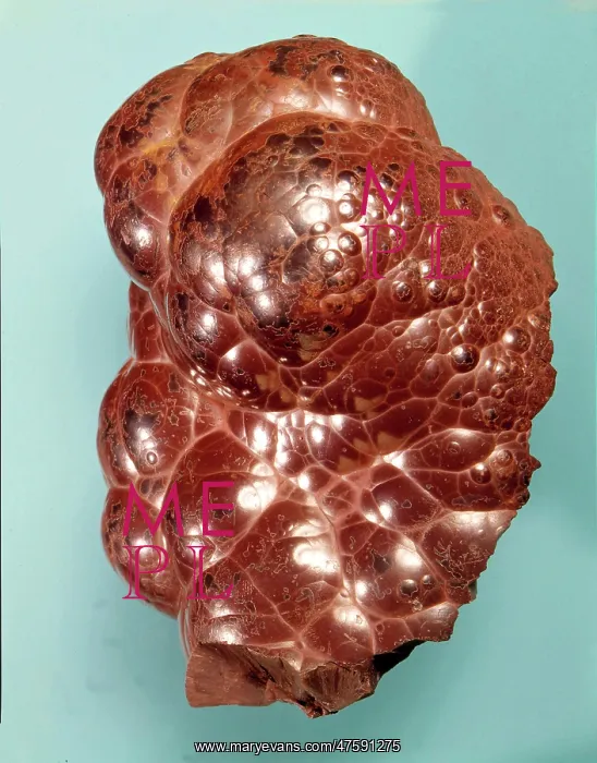: Hematite. Kidney iron ore from Cumberland : Hematite. Kidney iron ore from Cumberland