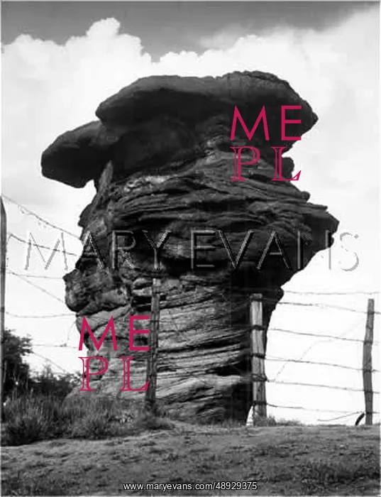 : THE HEMLOCK STONE : THE HEMLOCK STONE