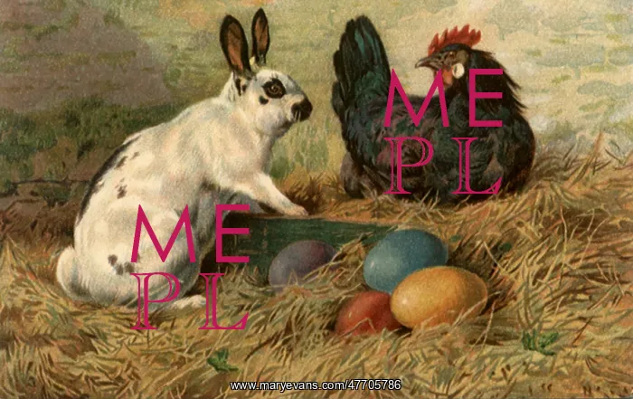  : Hen and Hare