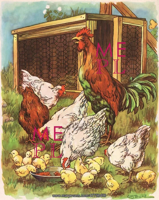  : Hen House