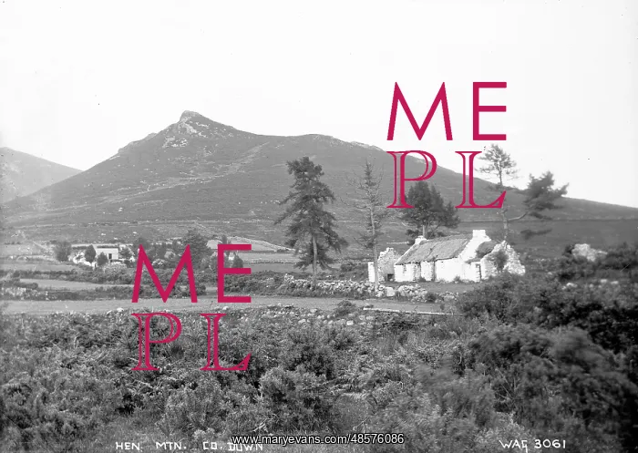 : Hen Mountain. Co. Down : Hen Mountain. Co. Down