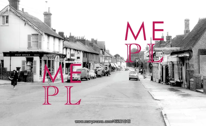  : Henfield, High Street c1965