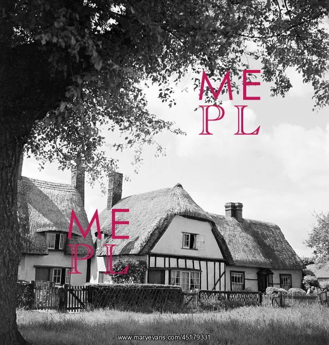 : Henham. General view of plastered, timber framed cottages with thatched roofs : Henham. General view of plastered, timber framed cottages with thatched roofs