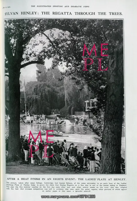 : Henley Regatta : Henley Regatta