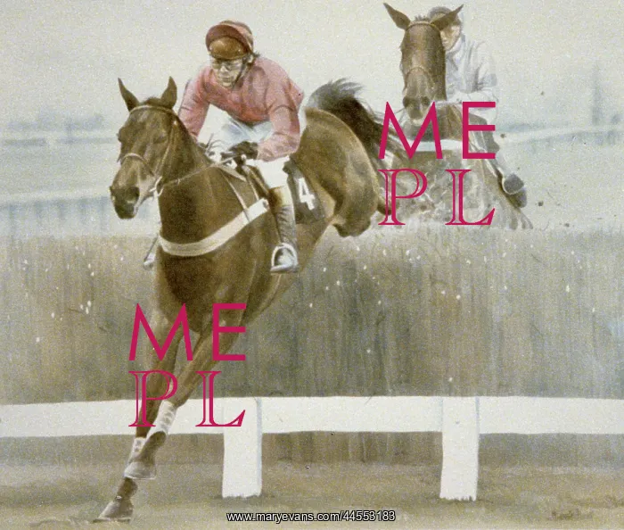 : The Hennessy Gold Cup 1984 : The Hennessy Gold Cup 1984