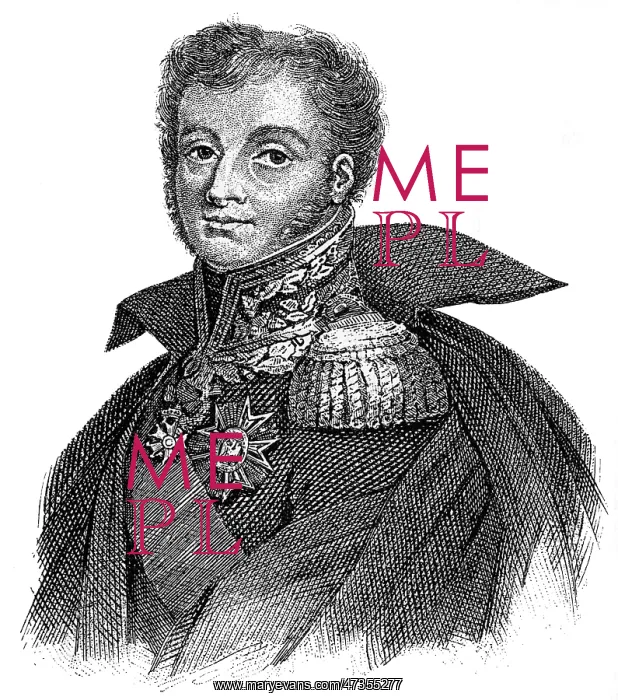 : HENRI COMTE BERTRAND : HENRI COMTE BERTRAND