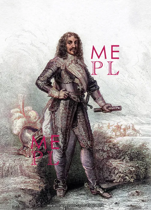 : HENRI COMTE SCHOMBERG : HENRI COMTE SCHOMBERG