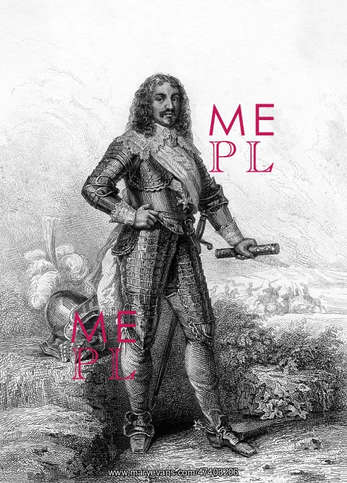 : HENRI COMTE SCHOMBERG : HENRI COMTE SCHOMBERG