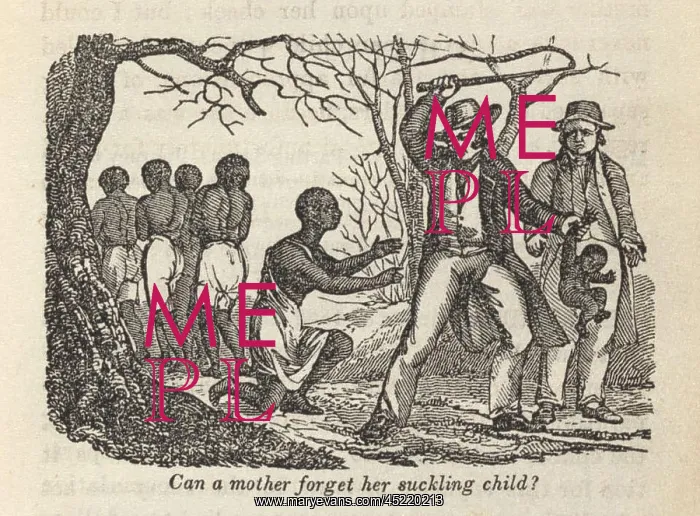 : Henry Bibb (1815-1854) authored a compelling ? : Henry Bibb (1815-1854) authored a compelling ?