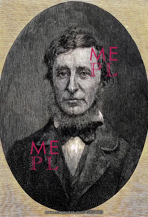 : Henry David Thoreau : Henry David Thoreau