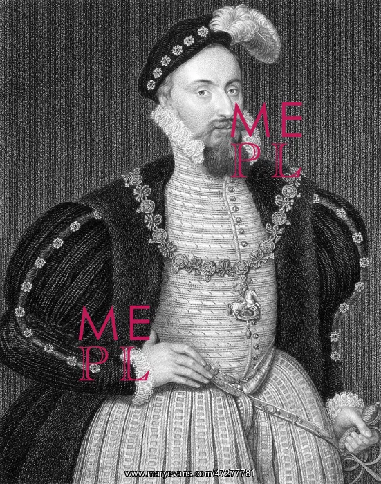 : Henry Grey of Suffolk : Henry Grey of Suffolk