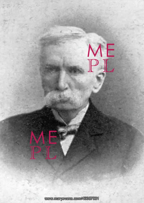: Henry Mitchell (1837 - 1914) : Henry Mitchell (1837 - 1914)