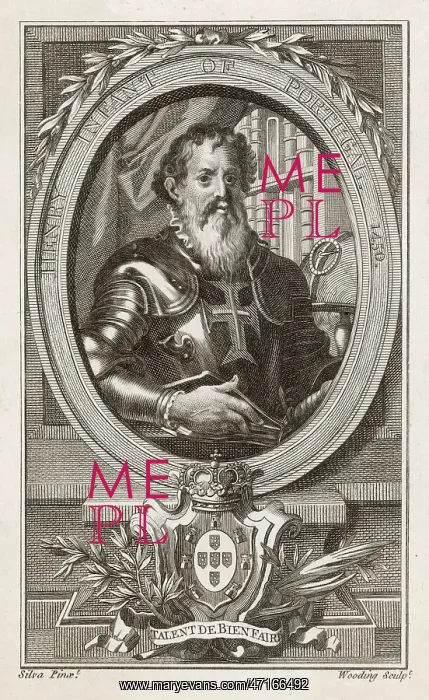 : Henry Navigator : Henry Navigator