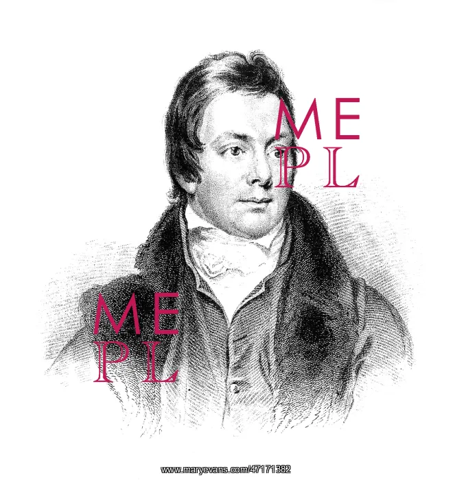 : HENRY SALT