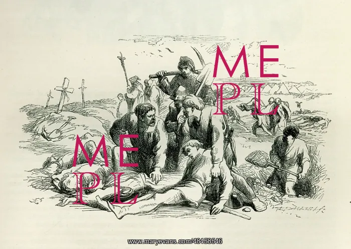  : Henry V - after the battle