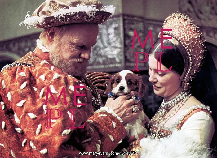 : HENRY VIII AND HIS SIX WIVES : HENRY VIII AND HIS SIX WIVES