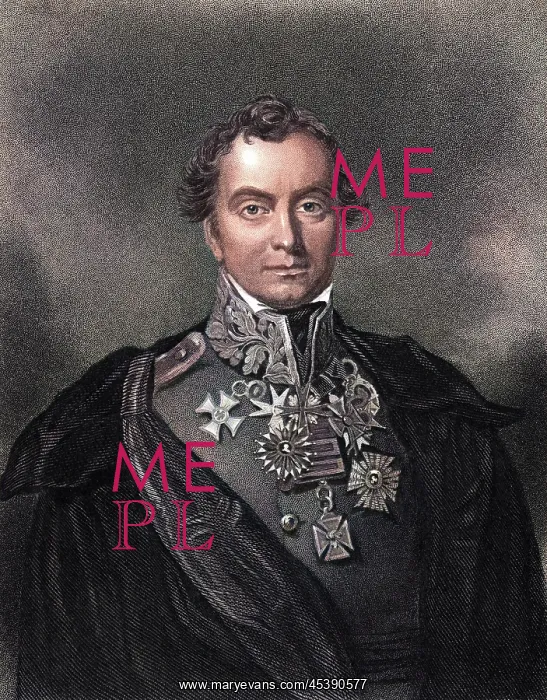 : HENRY VISCOUNT HARDINGE : HENRY VISCOUNT HARDINGE