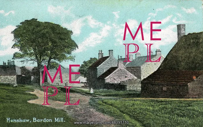  : Henshaw, Bardon Mill, Northumberland