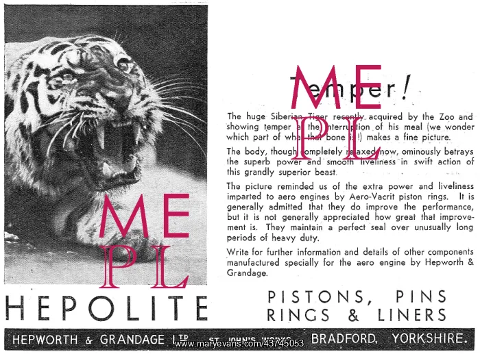 : Hepolite Pistons, Piston Rings & : Hepolite Pistons, Piston Rings &