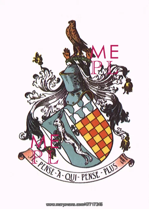  : Heraldic Shield