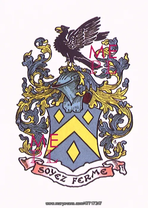 : Heraldic Shield : Heraldic Shield