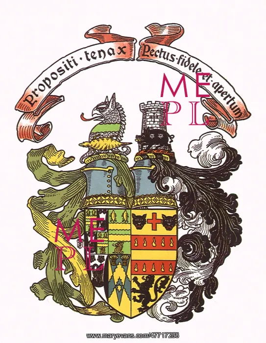 : Heraldic Shield : Heraldic Shield