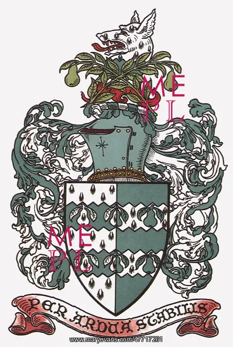  : Heraldic Shield