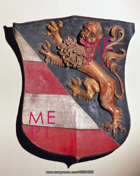  : Heraldry. Coat of arms, County of Gorizia in Italy