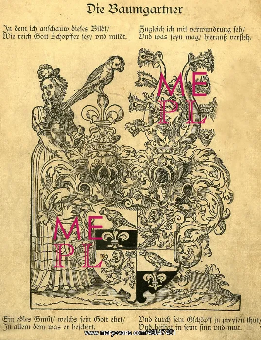 : heraldry, coat of arms, Germany, Baumgartner : heraldry, coat of arms, Germany, Baumgartner