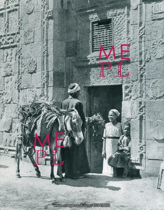 : A Herb Merchant in Cairo : A Herb Merchant in Cairo