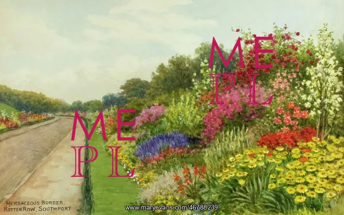 : Herbaceous border, Rotten Row, Southport, Lancashire : Herbaceous border, Rotten Row, Southport, Lancashire