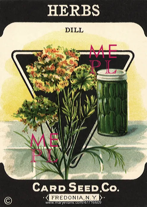  : Herbs Seed Packet