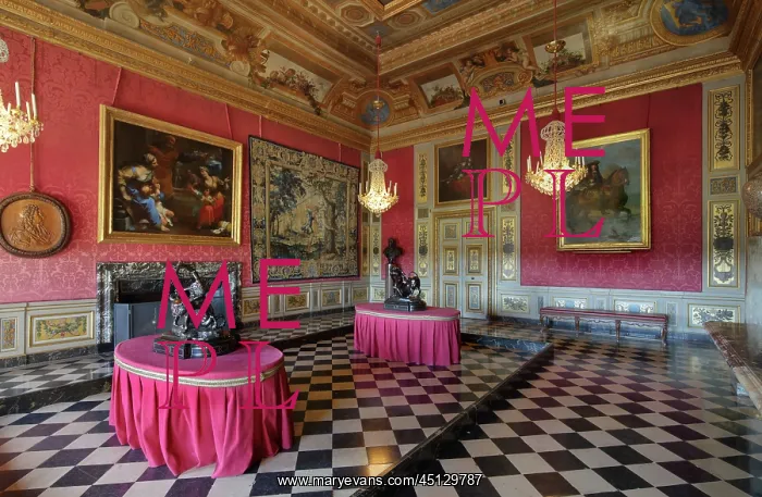 : Hercules antechamber, Chateau de Vaux-le-Vicomte : Hercules antechamber, Chateau de Vaux-le-Vicomte