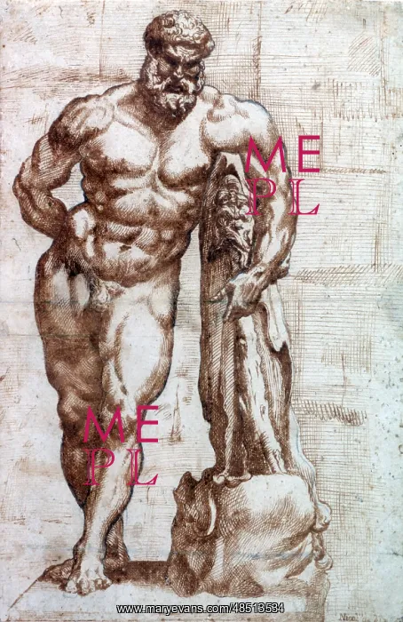 : Hercules Artist: Niccolo de Simone : Hercules Artist: Niccolo de Simone