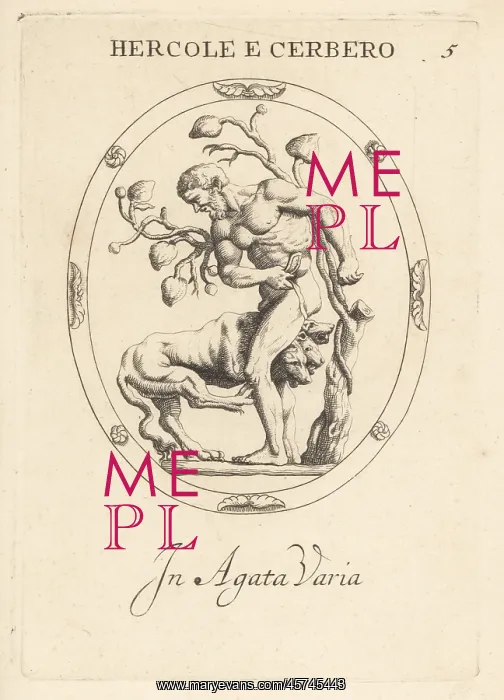 : Hercules capturing the three-headed dog Cerberus : Hercules capturing the three-headed dog Cerberus