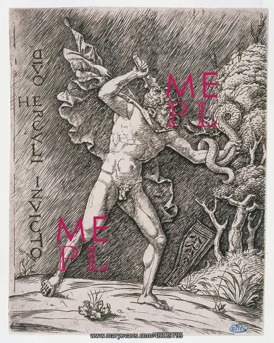 : Hercules fighting a snake : Hercules fighting a snake