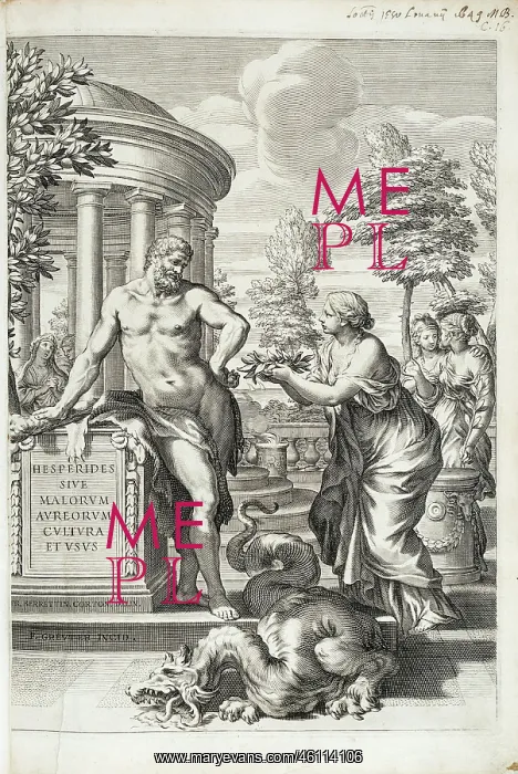 : Hercules honoured by the Hesperides : Hercules honoured by the Hesperides