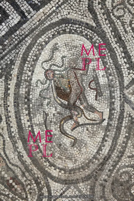 : Hercules mosaic, House of the Labours of Hercules : Hercules mosaic, House of the Labours of Hercules