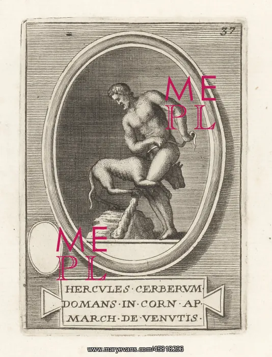 : Hercules subduing the three-headed hellhound Cerberus : Hercules subduing the three-headed hellhound Cerberus