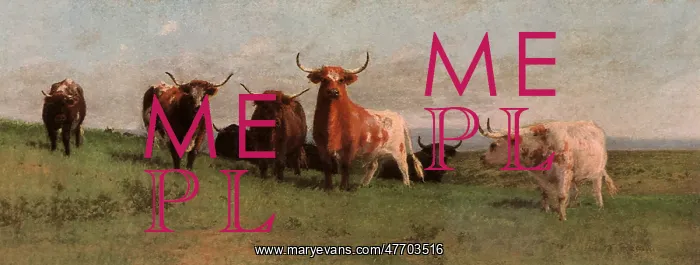  : The Herd