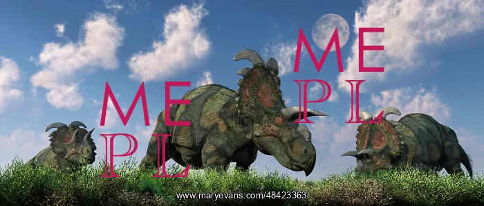 : A herd of Albertaceratops grazing : A herd of Albertaceratops grazing