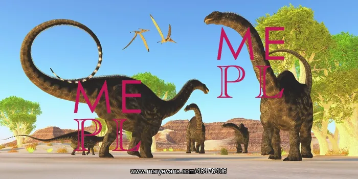 : Herd of Apatosaurus dinosaurs wander through a prehistoric ? : Herd of Apatosaurus dinosaurs wander through a prehistoric ?