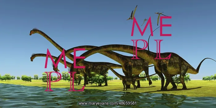 : A herd of Barosaurus dinosaurs bend their long : A herd of Barosaurus dinosaurs bend their long