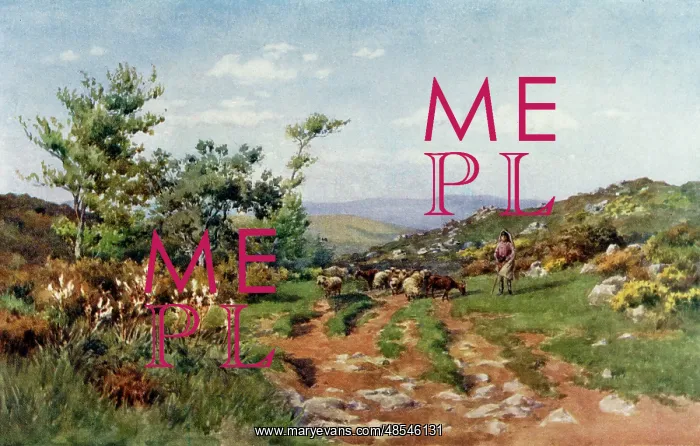 : Herd boy and flock - Portugal : Herd boy and flock - Portugal