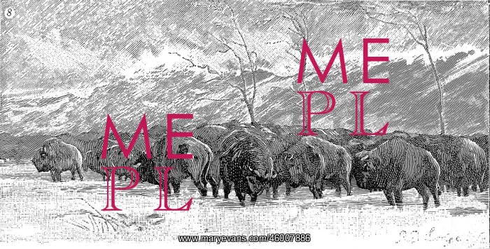 : Herd of Buffalo in a blizzard 1887 : Herd of Buffalo in a blizzard 1887